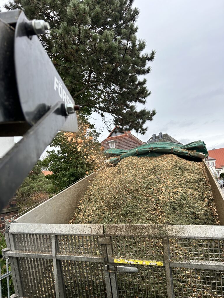 Baum fällen Hessen